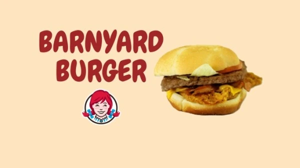 19 Best Wendy’s Secret Menu Items to Try in 2025 8 Wendys-barnyard-burger